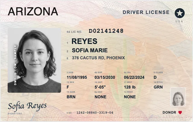 Sample Arizona driver's license
