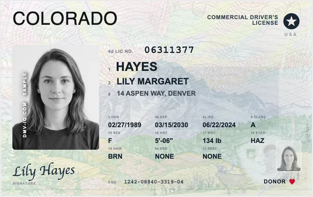Sample Colorado commercial driver's license (CDL)
