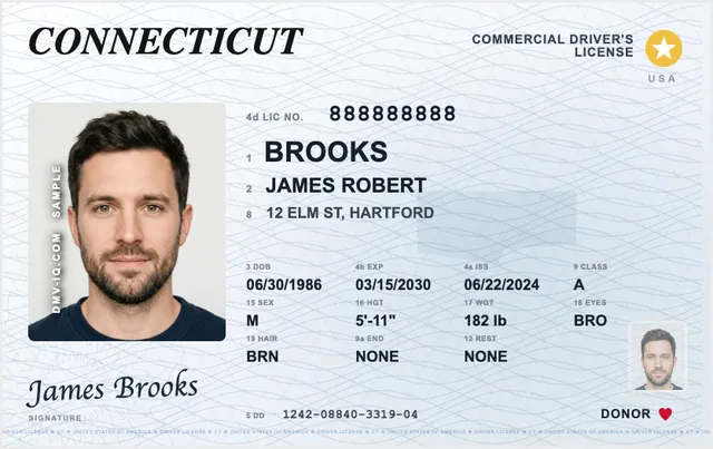 Sample Connecticut commercial driver's license (CDL)