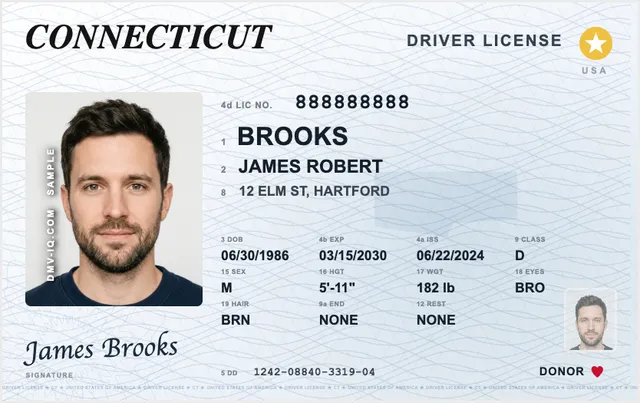 Sample Connecticut driver's license