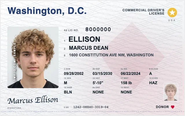 Sample District of Columbia commercial driver's license (CDL)