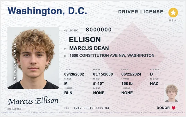 Sample District of Columbia driver's license