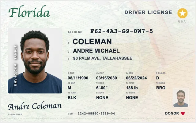 Sample Florida driver's license