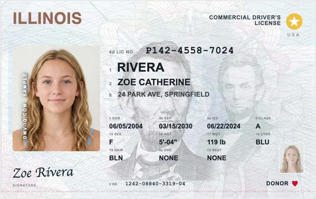 Sample Illinois commercial driver's license (CDL)