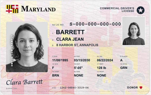 Sample Maryland commercial driver's license (CDL)