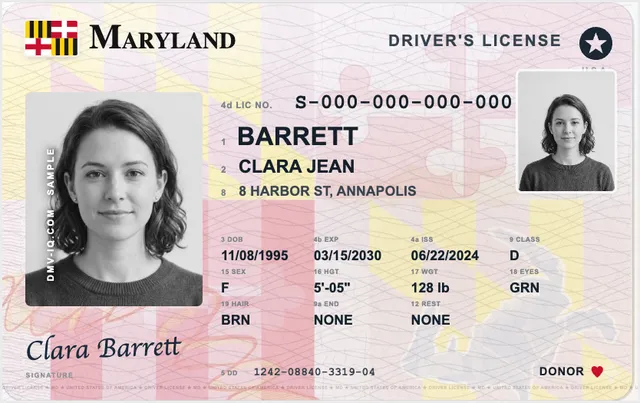 Sample Maryland driver's license