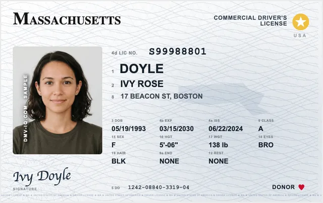Sample Massachusetts commercial driver's license (CDL)