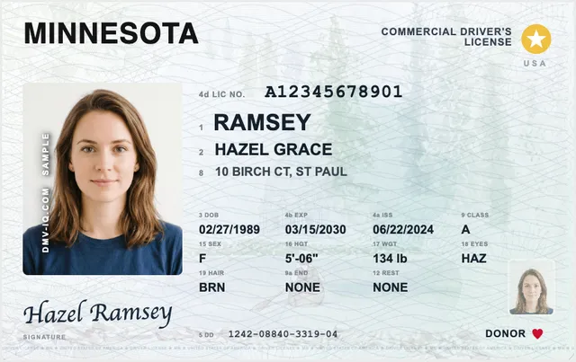 Sample Minnesota commercial driver's license (CDL)