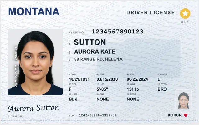 Sample Montana driver's license