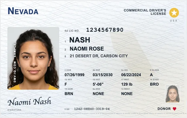Sample Nevada commercial driver's license (CDL)
