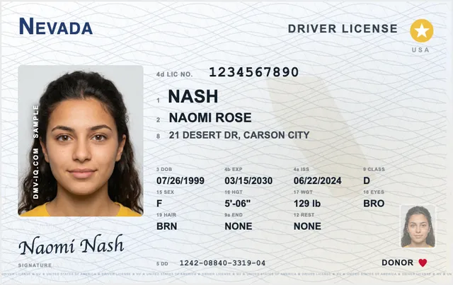 Sample Nevada driver's license
