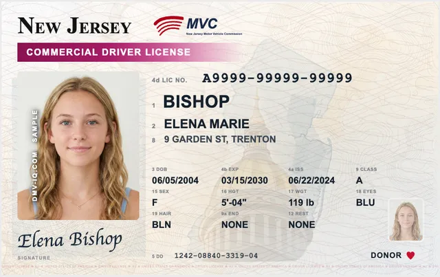 Sample New Jersey commercial driver's license (CDL)