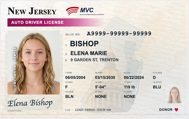Sample New Jersey driver's license