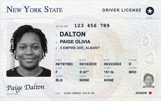 Sample New York driver's license