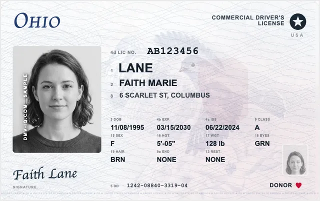 Sample Ohio commercial driver's license (CDL)