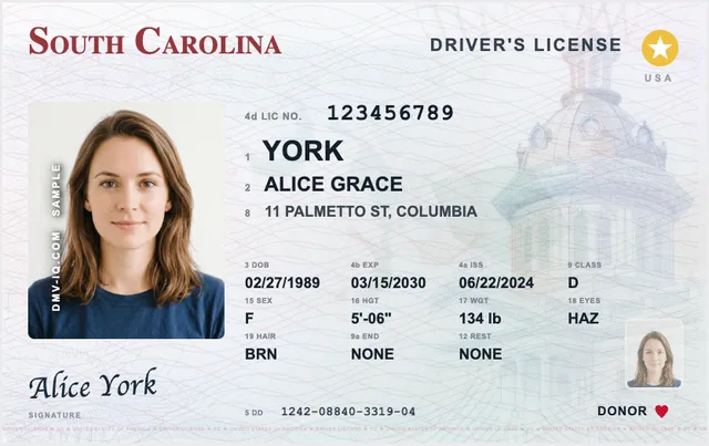 Sample South Carolina driver's license