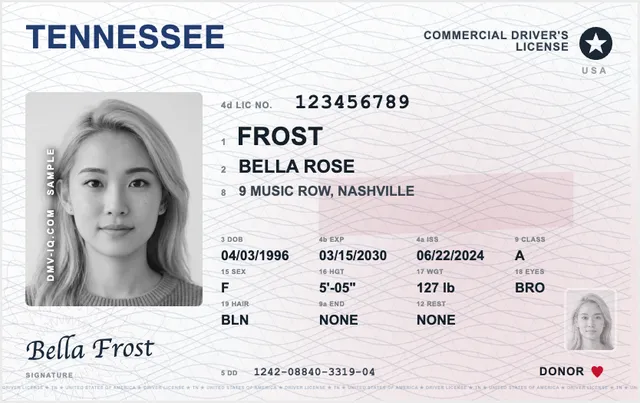 Sample Tennessee commercial driver's license (CDL)