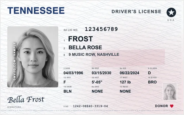 Sample Tennessee driver's license