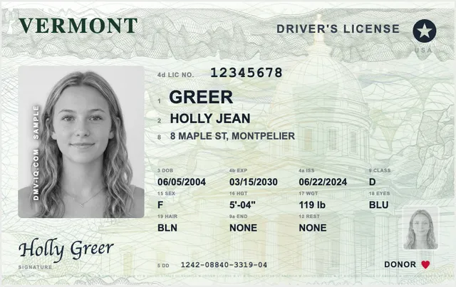 Sample Vermont driver's license