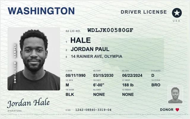 Sample Washington driver's license
