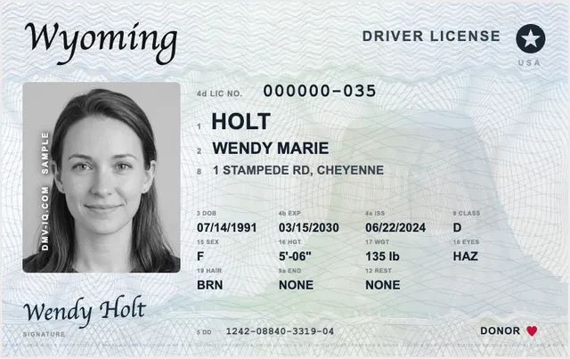Sample Wyoming driver's license
